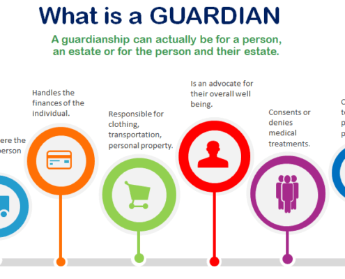 Guardian Appointment process