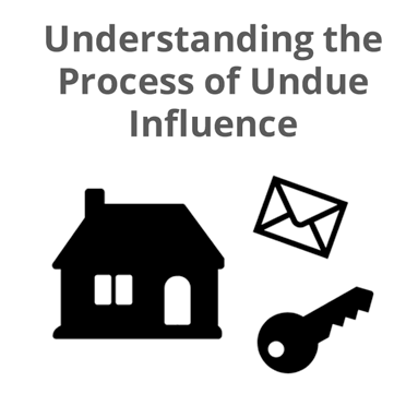 Understanding the Process of Undue Influence