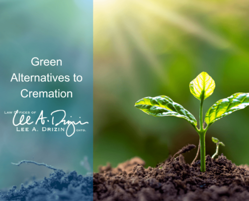 Green Alternatives to Cremation