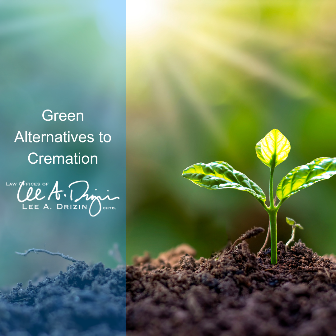 Green Alternatives to Cremation